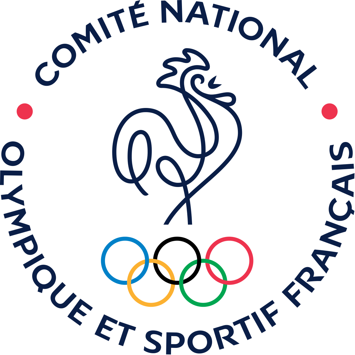You are currently viewing Le Comité national olympique et sportif français (CNOSF) recherche un.e Administrateur.ice systèmes et réseaux junior H/F