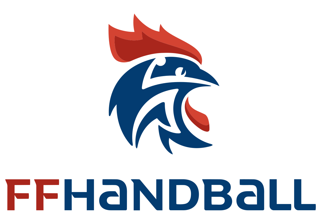 You are currently viewing La ligue Île-de-France de Hand Ball recherche deux agents de développement H/F