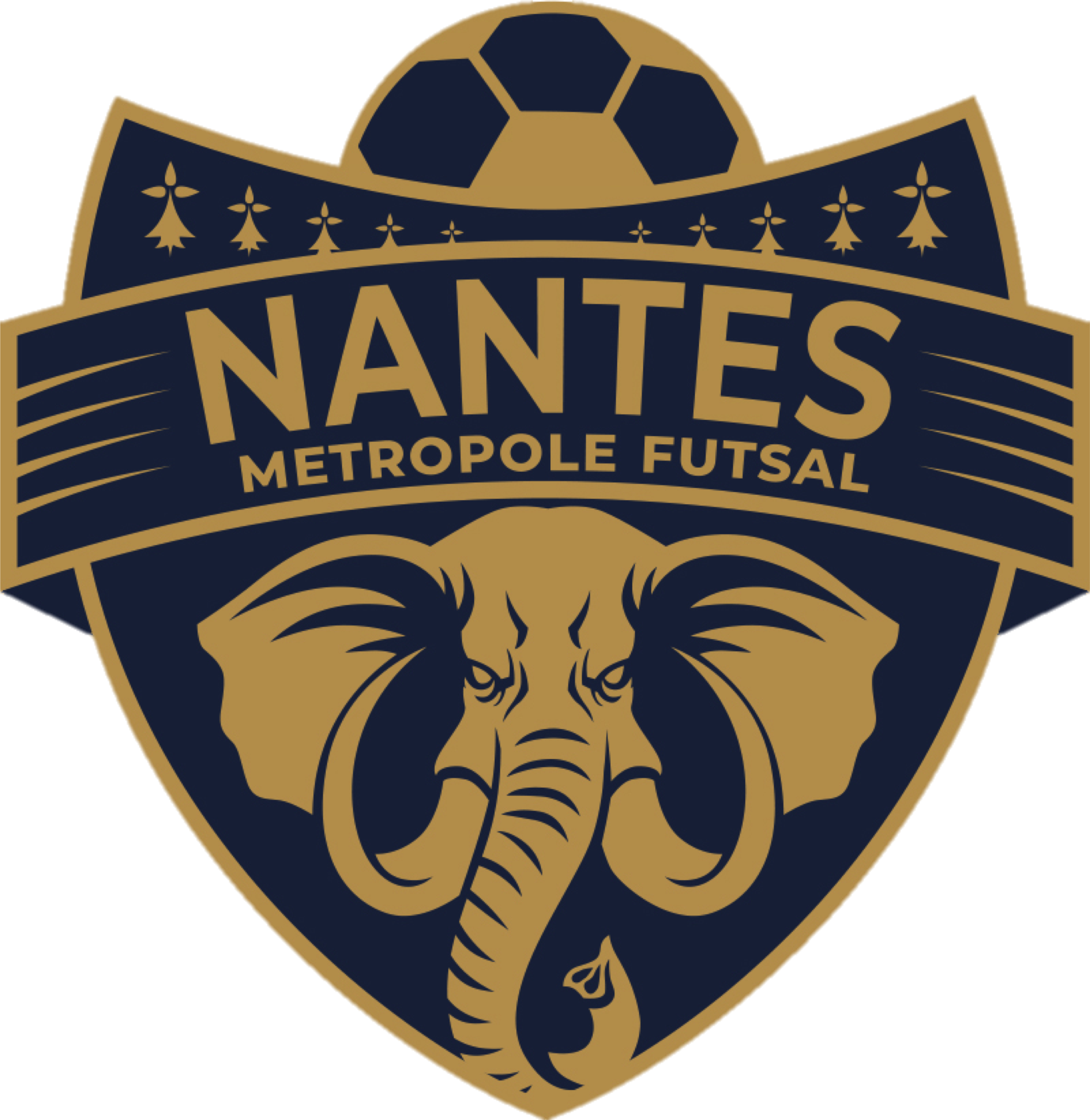 You are currently viewing Le Nantes Métropole Futsal recherche un Analyste vidéo 